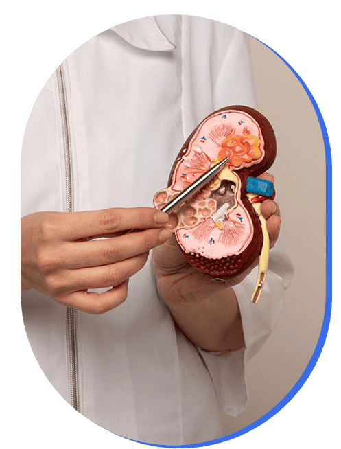 Cuanto cuesta una consulta de Atención de enfermedad renal crónica en Jalisco