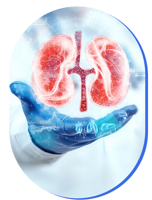 planificacion-terapia-renal.png
